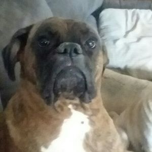 Meet your Posher, Rick